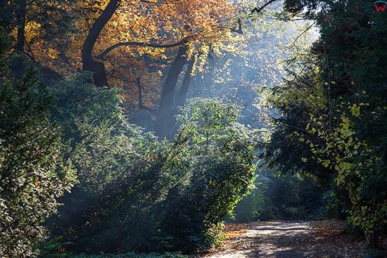 Szczawno Zdroj, Park Zdrojowy im. Henryka Wieniawskiego. EU, PL, Dolnoslaskie.